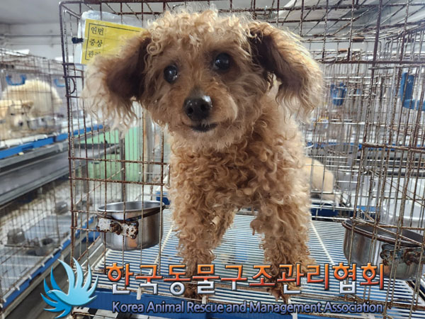 한국동물구조관리협회_441409202301349