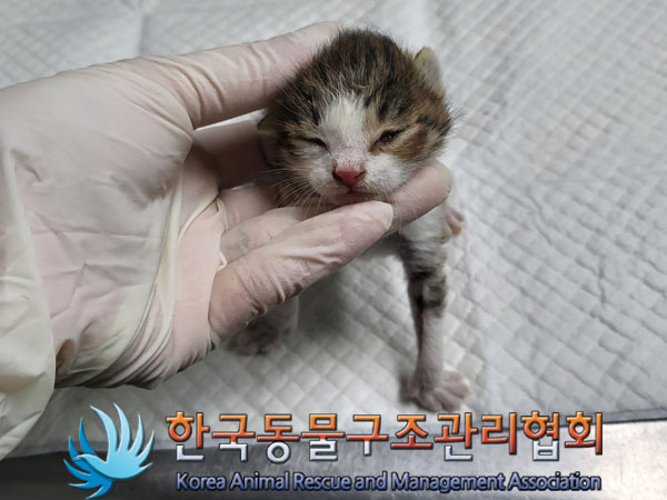 한국동물구조관리협회_411311202300647