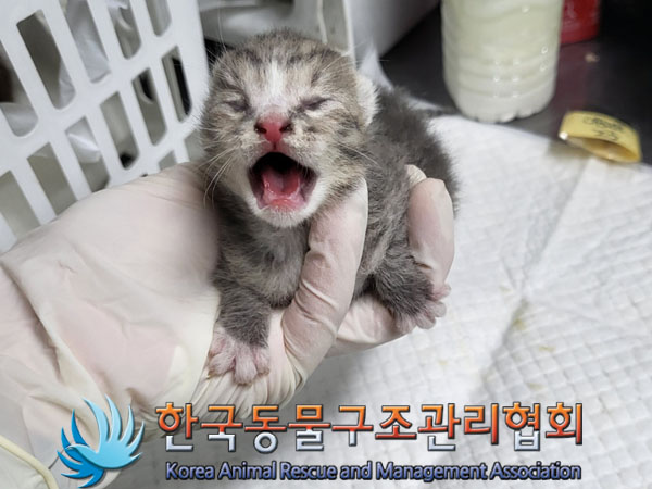 한국동물구조관리협회_411311202300648
