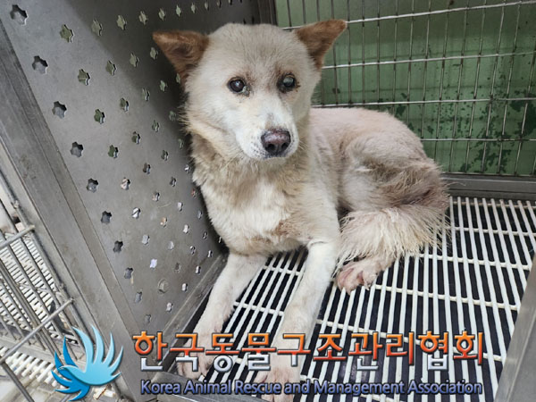한국동물구조관리협회_411309202300354