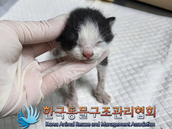 종료(자연사) 한국…