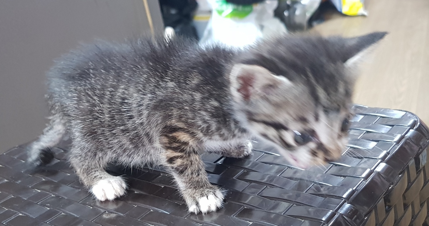 종합축산_447512202300547