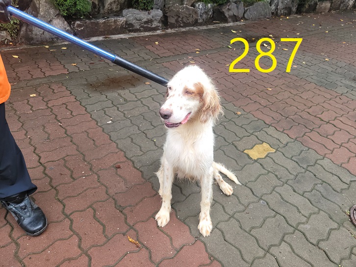 신영재동물병원_428355202300468