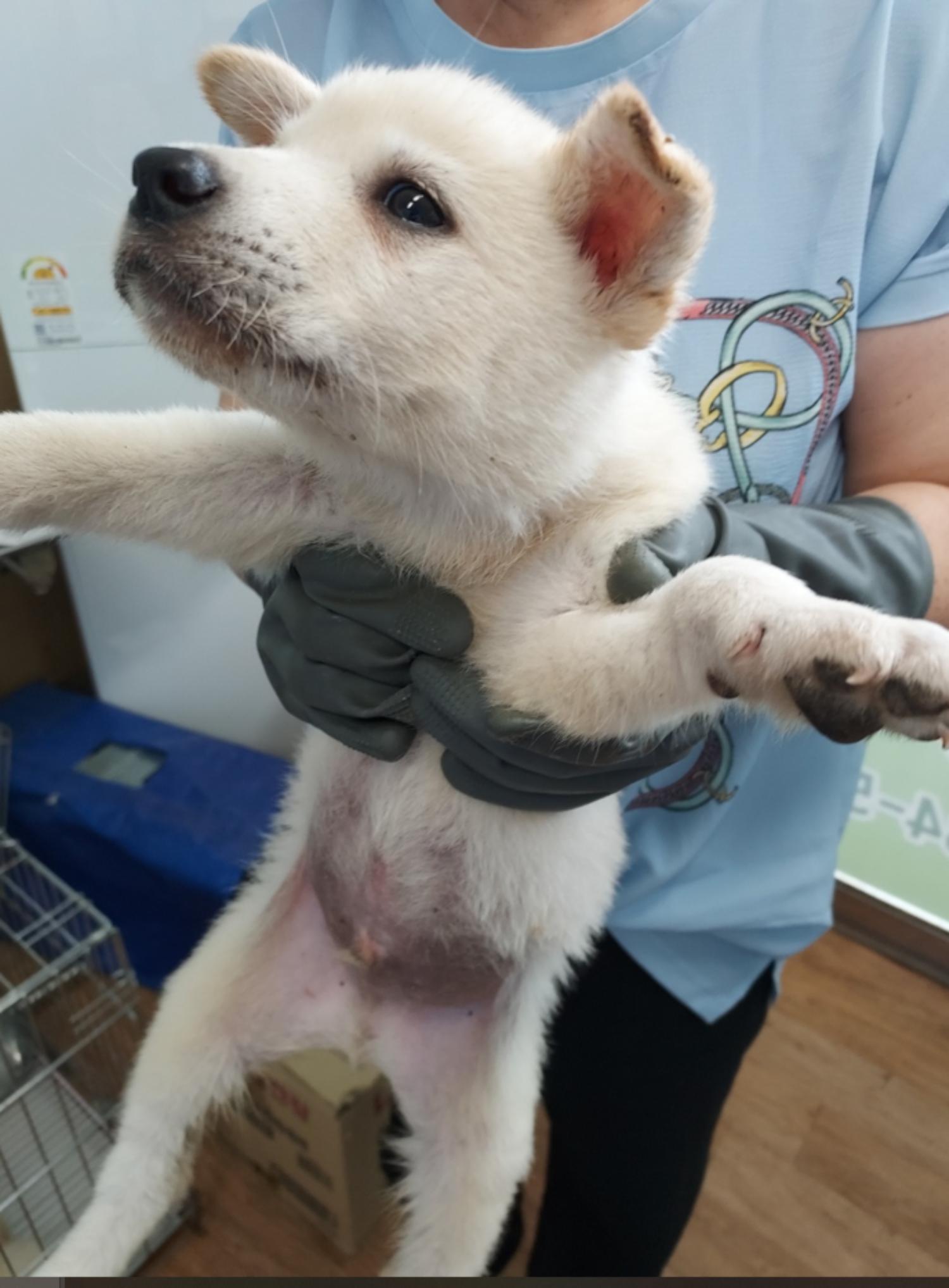 인월동물병원_445470202300679
