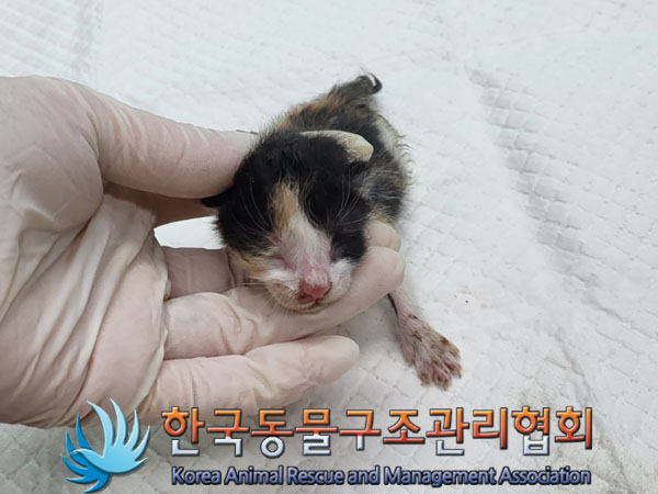 종료(자연사) 한국…
