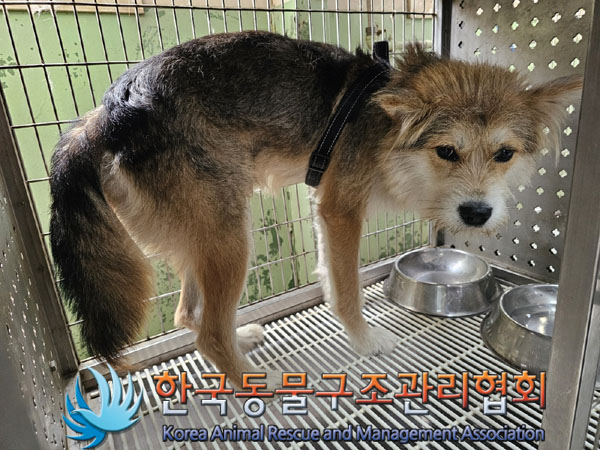 한국동물구조관리협회_411310202300380