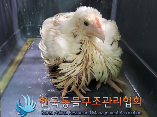 한국동물구조관리협회_441414202300661