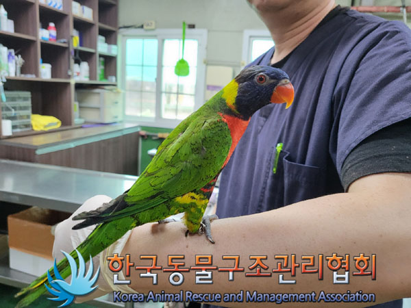 한국동물구조관리협회_411300202300336