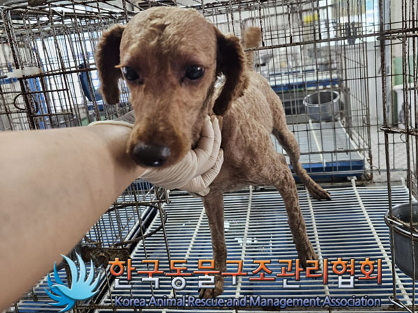한국동물구조관리협회_411305202300430