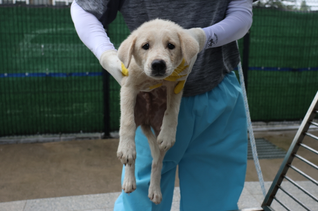 제주 동물보호센터_450650202303004