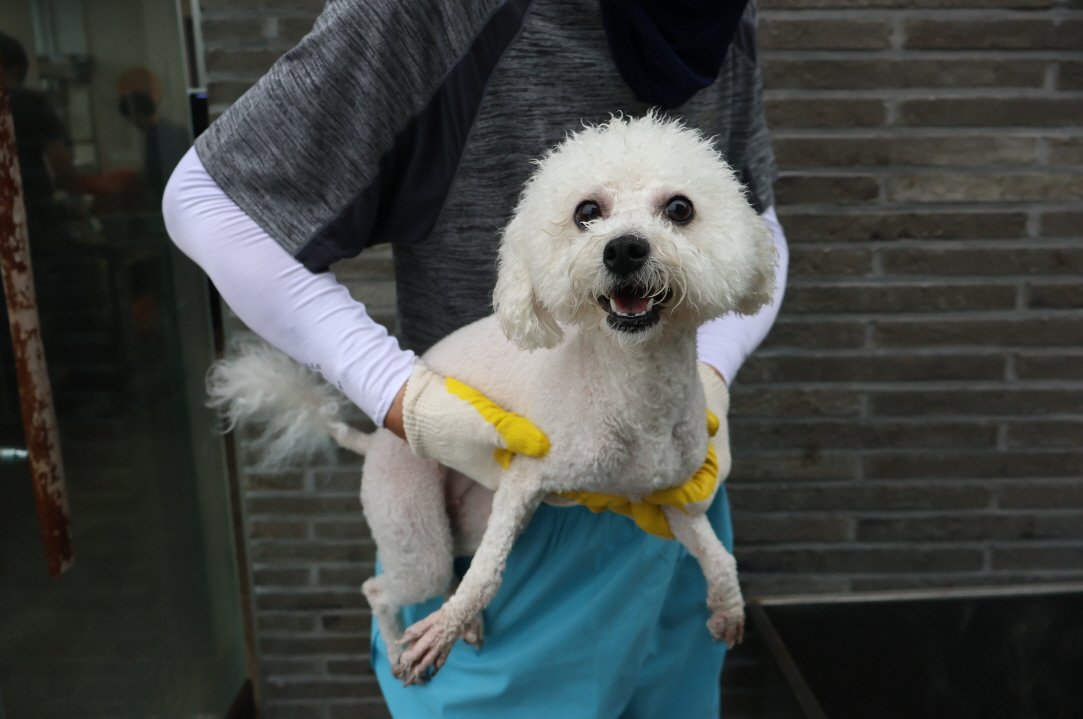 제주 동물보호센터_450650202303009