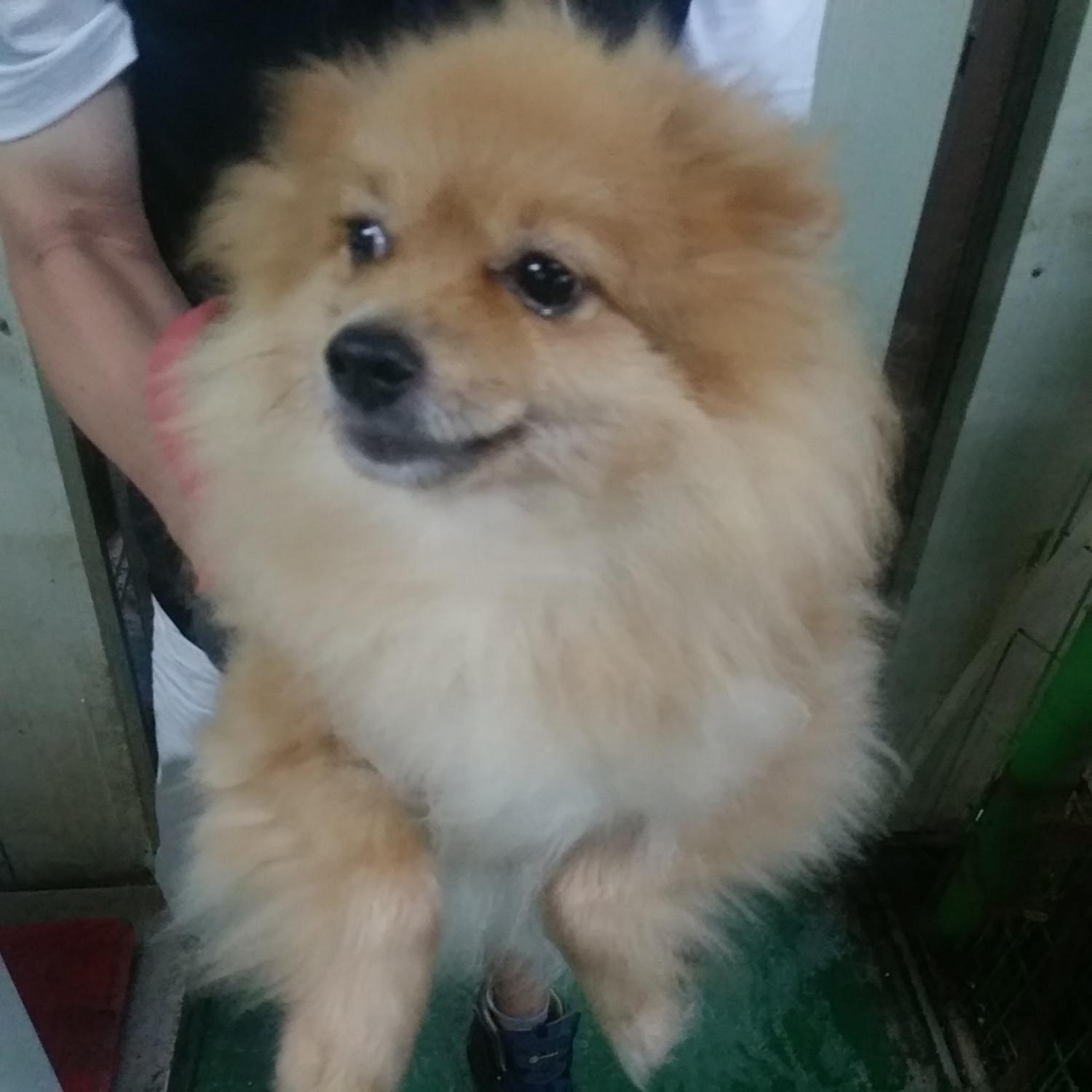 인천광역시수의사회_428351202300659