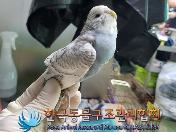 한국동물구조관리협회_411315202300510