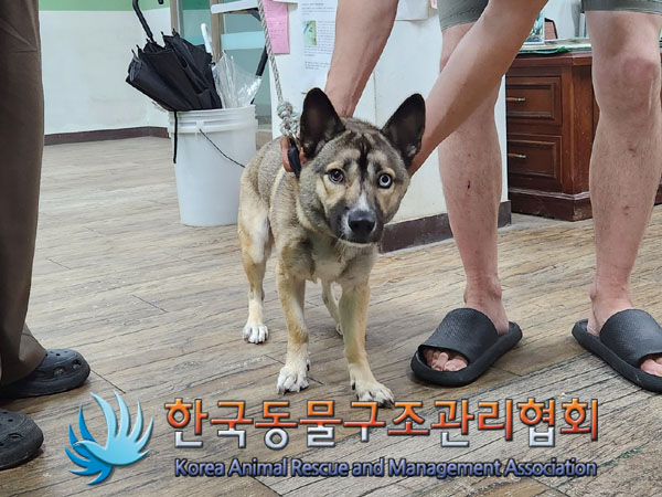 한국동물구조관리협회_441392202300183