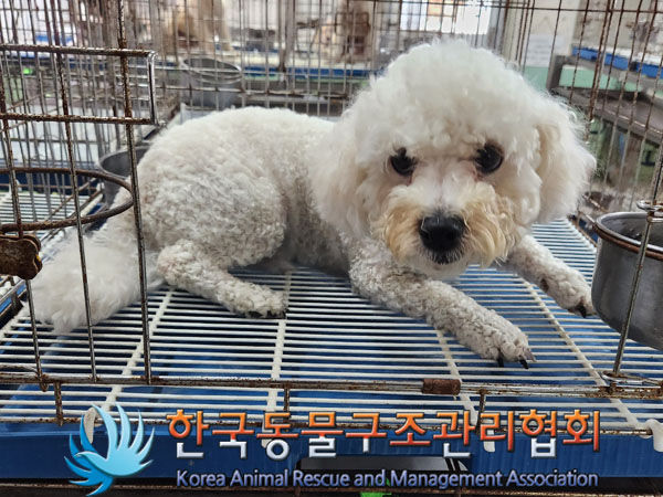 한국동물구조관리협회_411309202300356