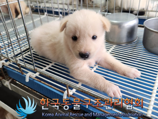 한국동물구조관리협회_441409202301384