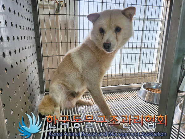 한국동물구조관리협회_441406202301200
