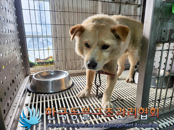 한국동물구조관리협회_441414202300674