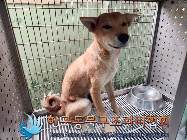 한국동물구조관리협회_441414202300675