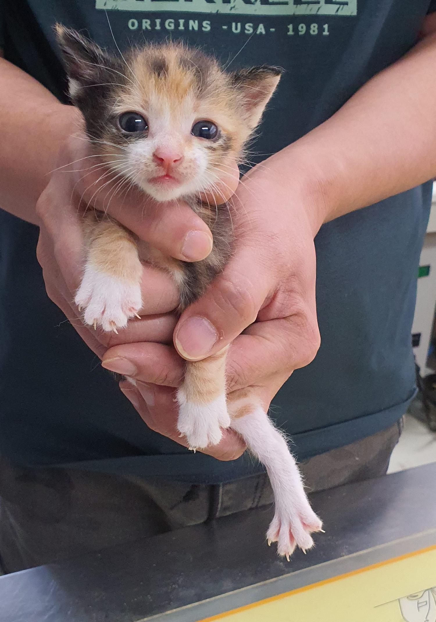 베스트동물병원_428357202301113