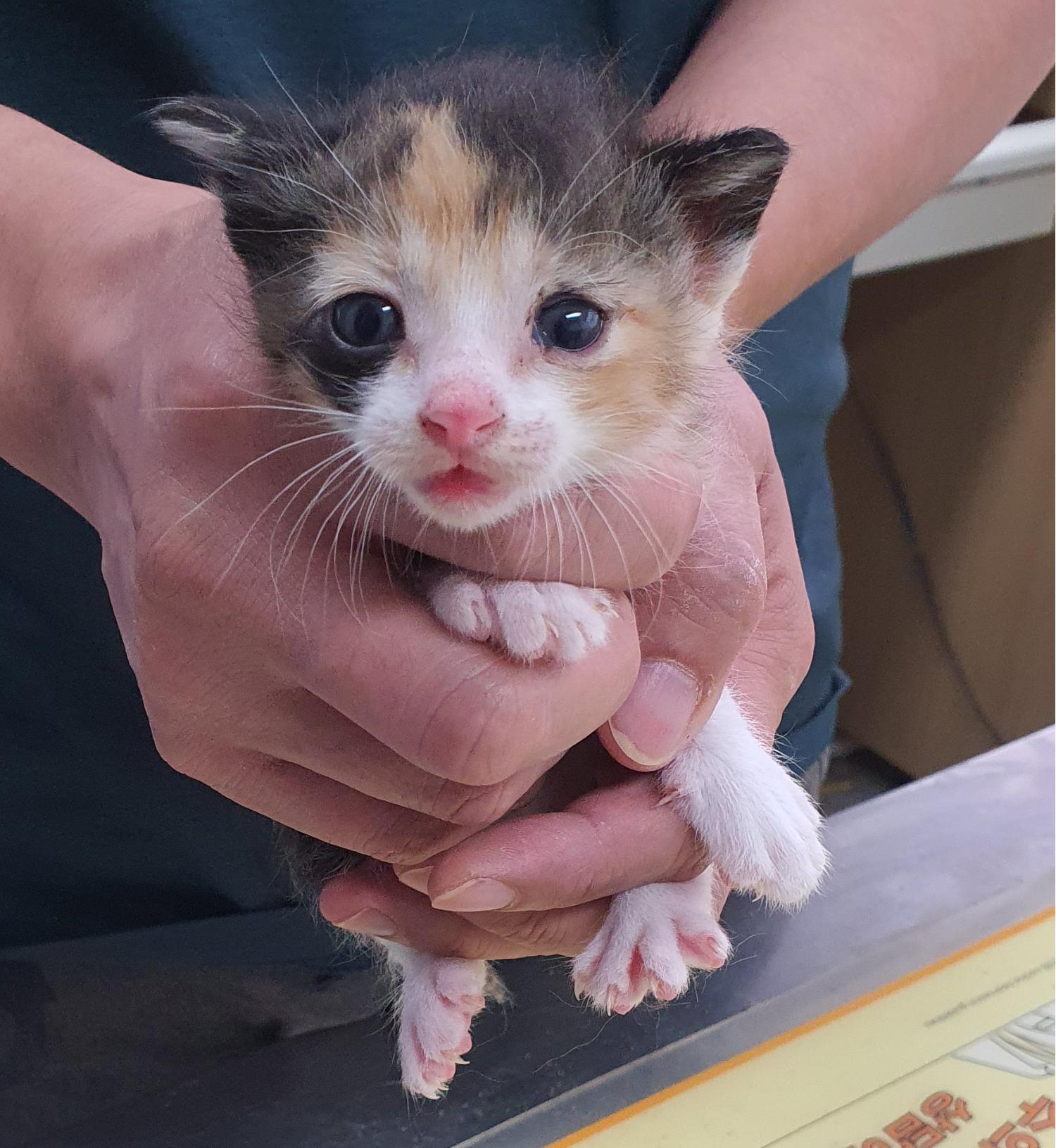 베스트동물병원_428357202301112