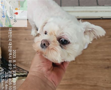 대전동물보호센터_430367202300542