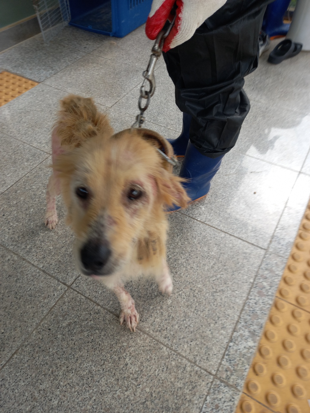 구미시 동물보호센터_447508202300849