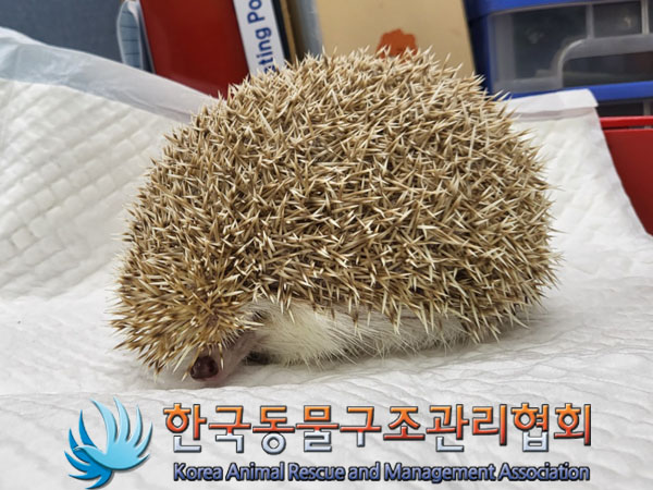 한국동물구조관리협회_411307202300330