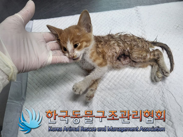 종료(자연사) 한국…