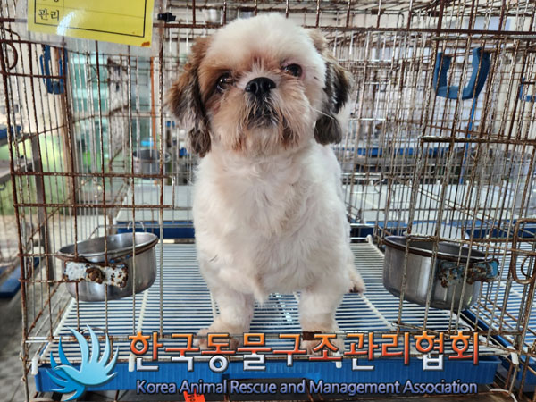 한국동물구조관리협회_441382202300555
