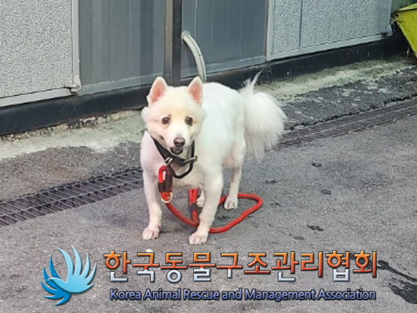 한국동물구조관리협회_411307202300331