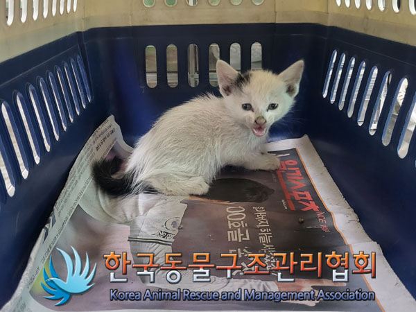 한국동물구조관리협회_411316202300593