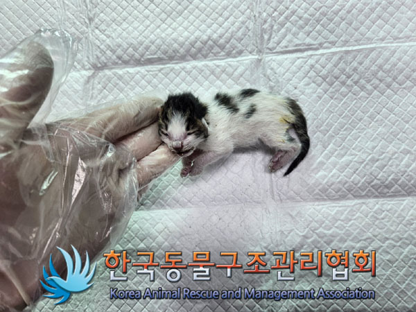한국동물구조관리협회_411300202300339