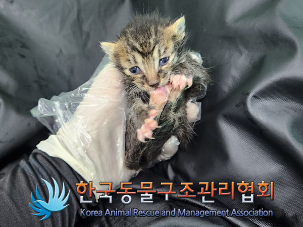 종료(자연사) 한국…