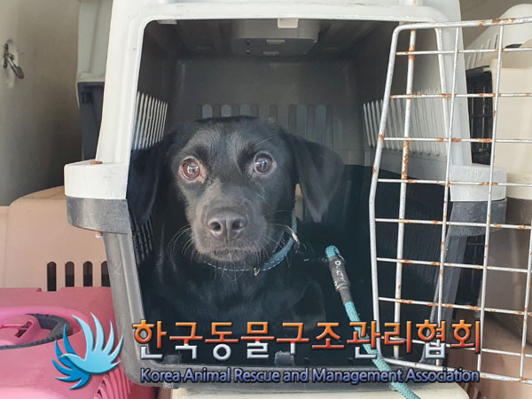 한국동물구조관리협회_411306202300554