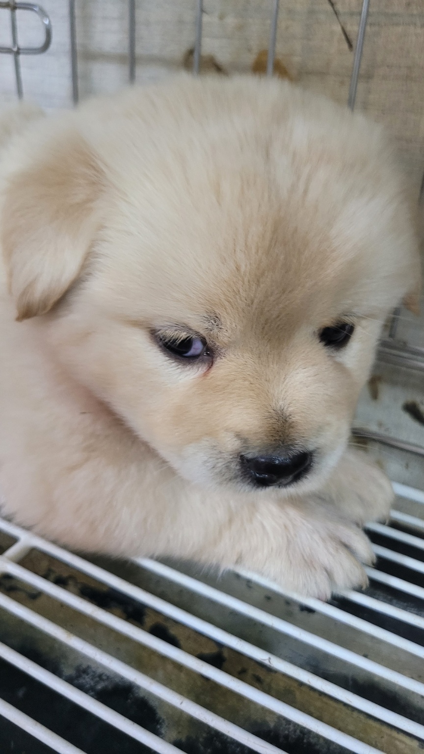 우리동물병원_428356202301409