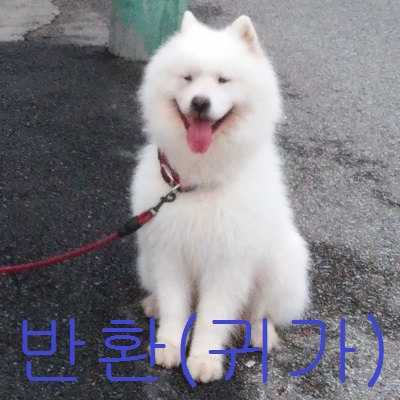 산타클라라동물병원_431369202300601