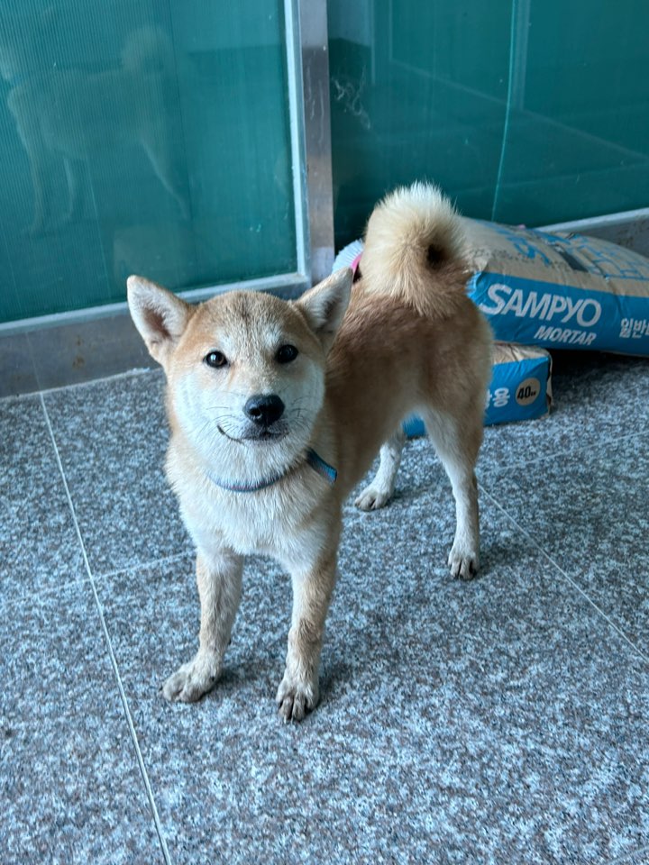 반려동물보호센터_443571202302084
