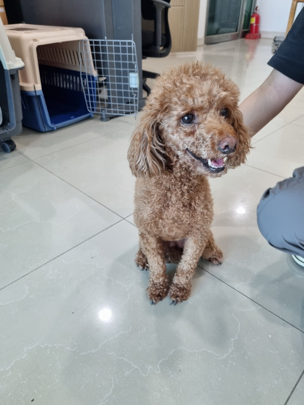 반려동물보호센터_443571202302082