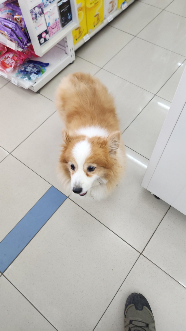 익산유기동물보호소_445468202301713