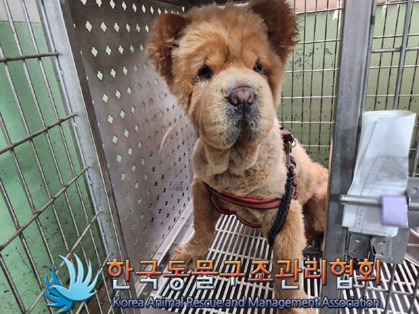 한국동물구조관리협회_441409202301279