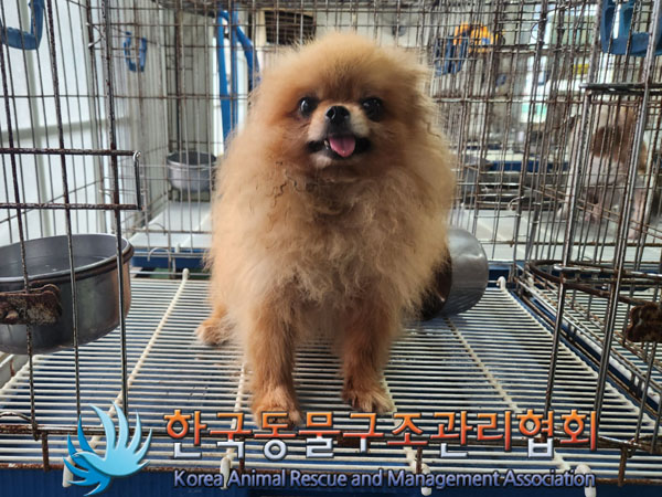 한국동물구조관리협회_411303202300442