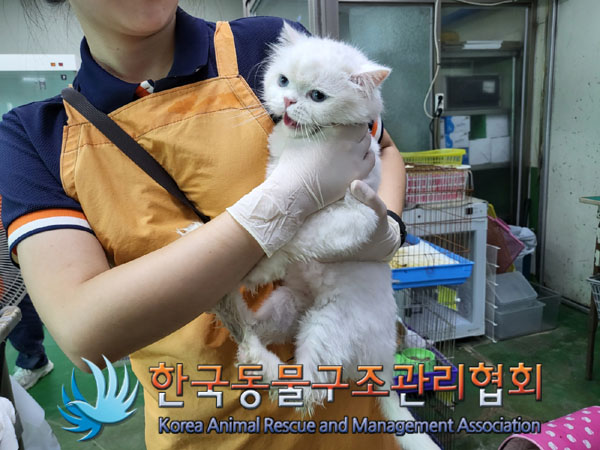 종료(반환) 페르시…
