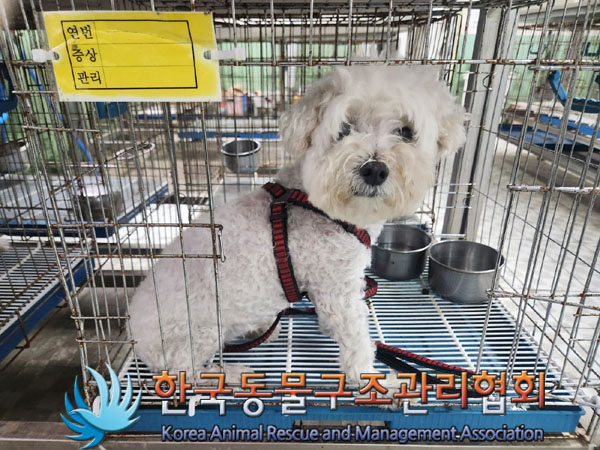 한국동물구조관리협회_411315202300517