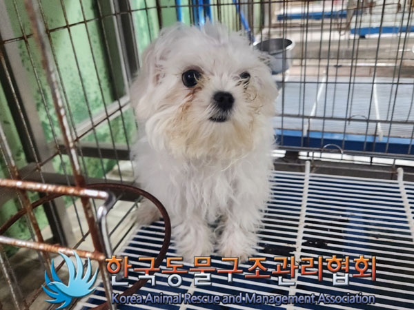한국동물구조관리협회_411311202300655