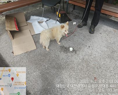대전동물보호센터_430367202300544