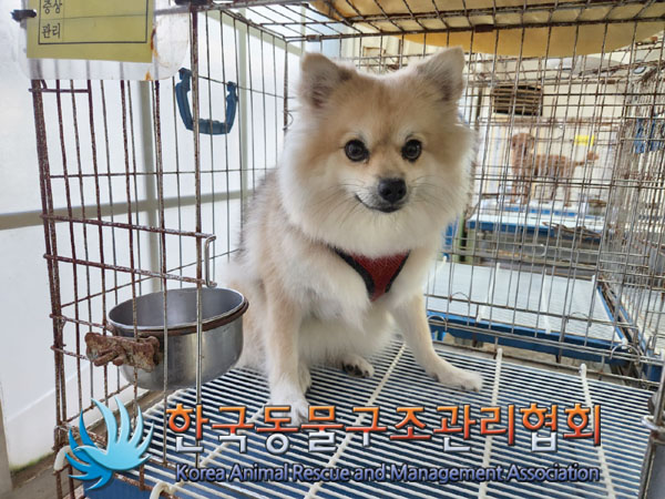 한국동물구조관리협회_411309202300362
