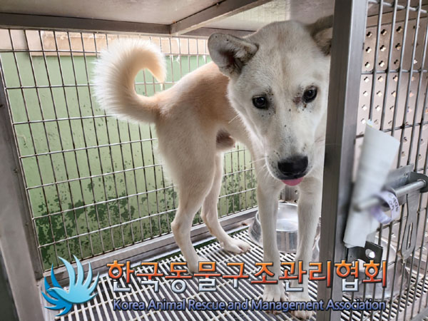한국동물구조관리협회_441559202300890