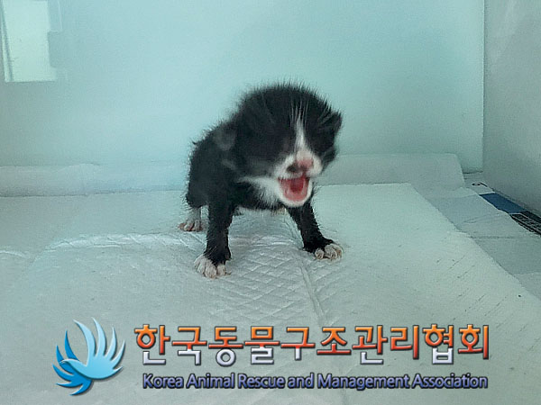 종료(자연사) 한국…