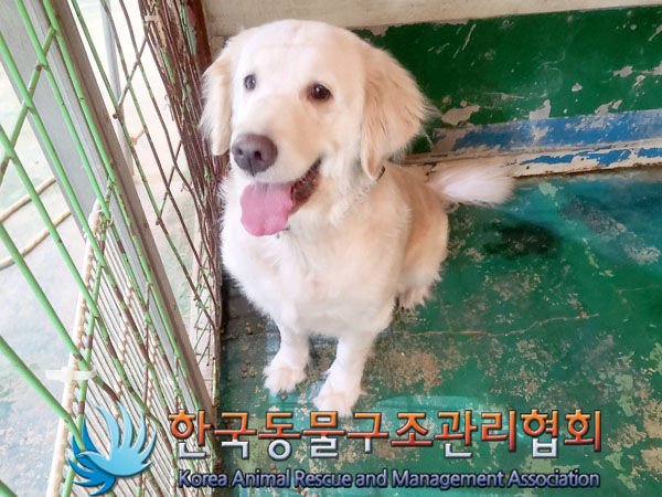 종료(반환) 골든 …